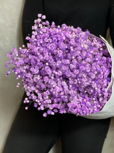 Гипсофила фиолетовая 1 ветка