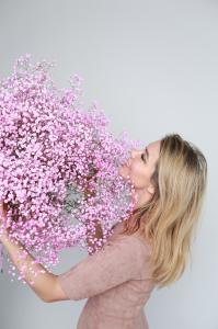 Гипсофила розовая 1 ветка