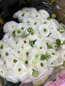 Ранункулюс белый